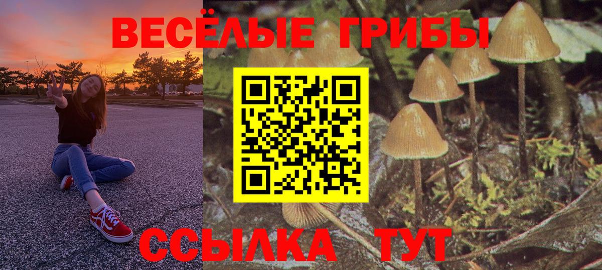 Меф мяу мяу Борзя