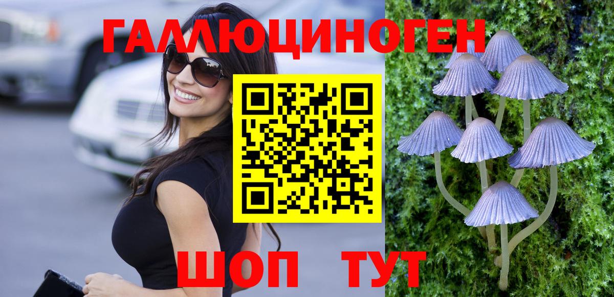 Борзя  Псилоцибиновые грибы Magic Shrooms  Вход с VPN 