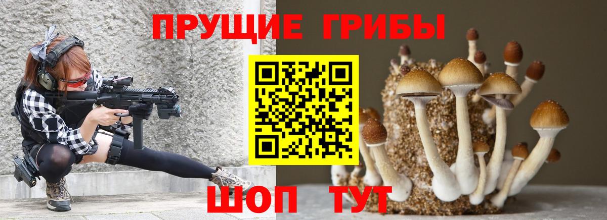 Псилоцибиновые грибы Psilocybe Борзя